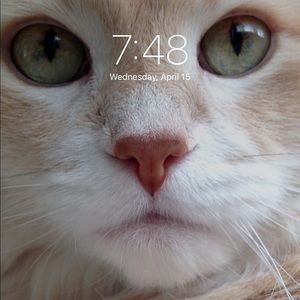 Meet your Posher, Nymoue